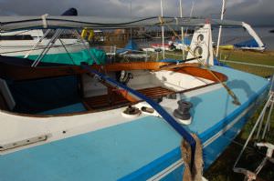 Harlequin 21